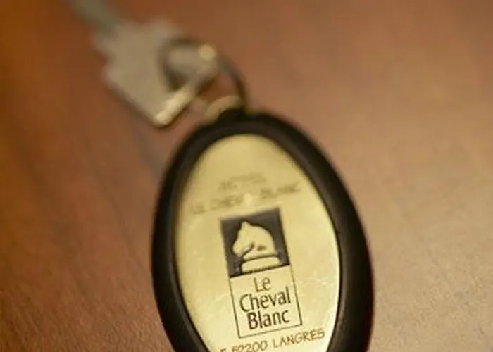 Ξενοδοχείο Logis Le Cheval Blanc Λανγκρ
